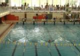 Körzeti úszóverseny